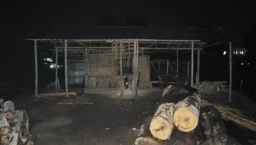 কুড়িগ্রামের ফুলবাড়ীতে স’মিলের করাতে দুই ভাগ হয়ে গেল শ্রমিকের দেহ